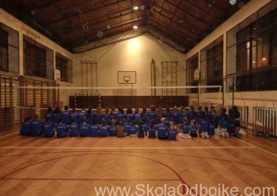 Škola odbojke Vladislav Petković Dis XII 2011.