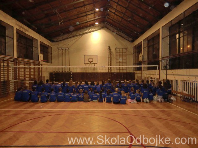 Škola odbojke Vladislav Petković Dis XII 2011.